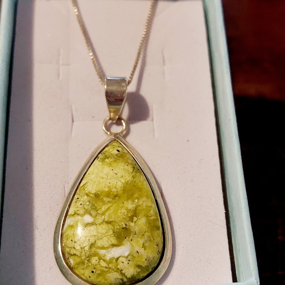 Serpentine stone on Sterling Pendant w/chain